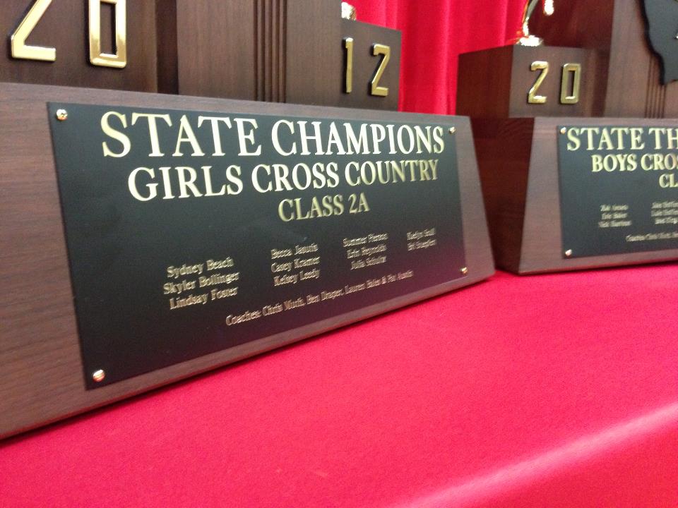 Yorkville Girls Cross Country State Champs 2012